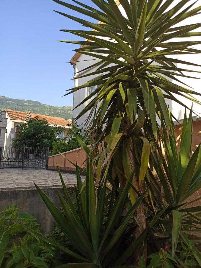 Apartments Parapid Budva Zewnętrze zdjęcie