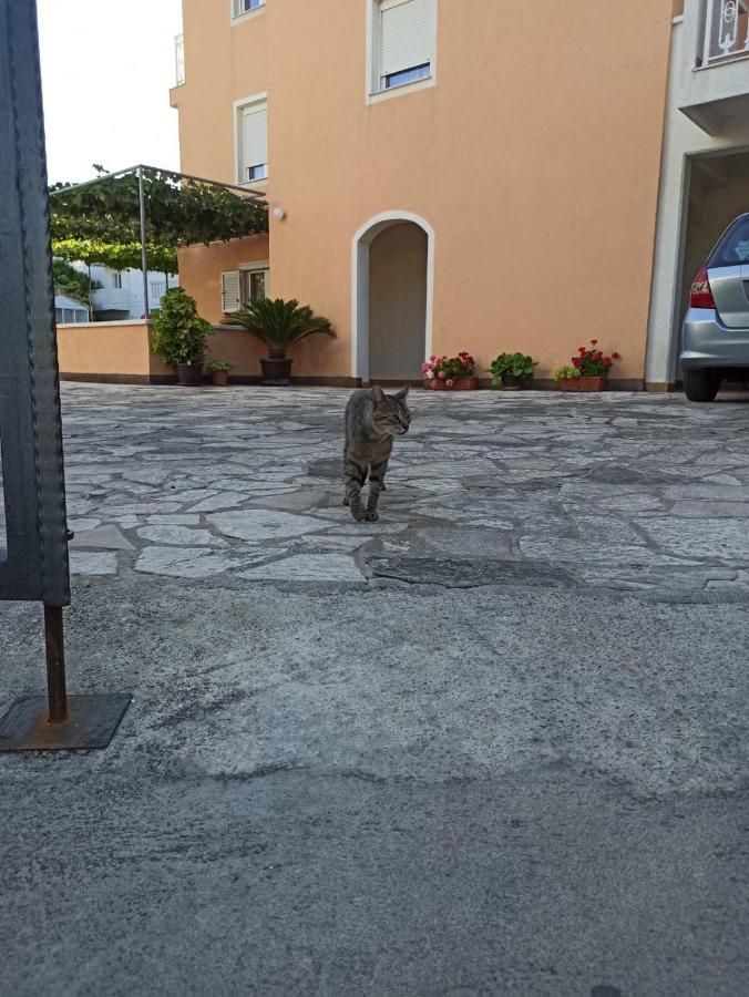 Apartments Parapid Budva Zewnętrze zdjęcie