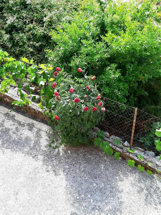 Apartments Parapid Budva Zewnętrze zdjęcie